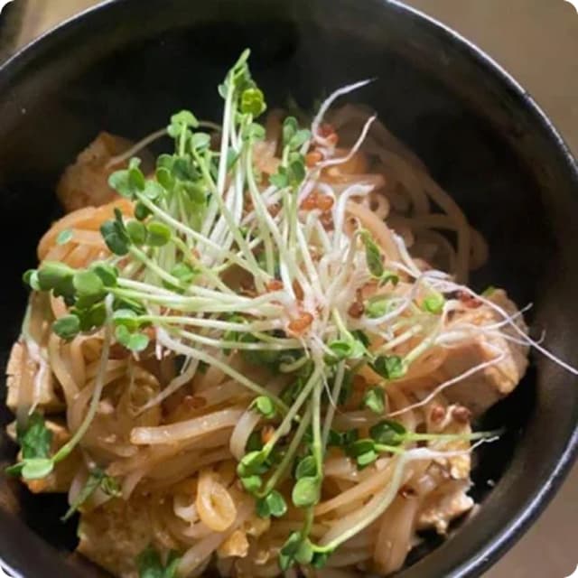 Tofu Pad Thai