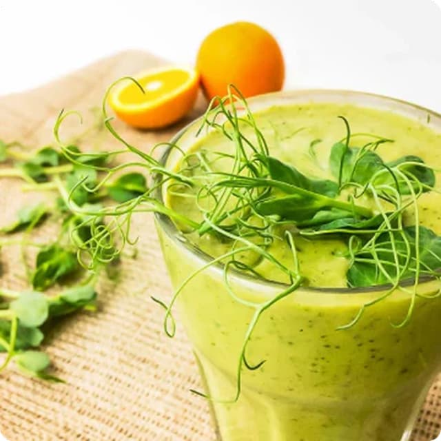 Spring Green with Pea Shoots